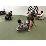 Kogen Schedule Sunday 16 August 2020